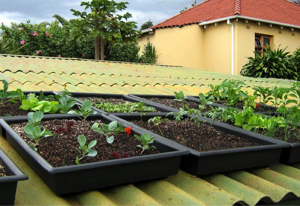 6 Ways To Retrofit A Green Roof Knowledge Base Kingspan Usa - Diy Green Roof Trays