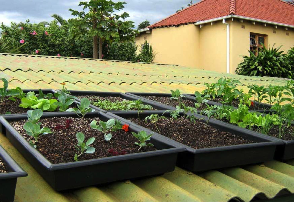 6 Ways To Retrofit A Green Roof Knowledge Base Kingspan Usa - Diy Green Roof Trays 6 Ways To Retrofit A Green Roof Knowledge Base Kingspan Usa - Diy Green Roof Trays
