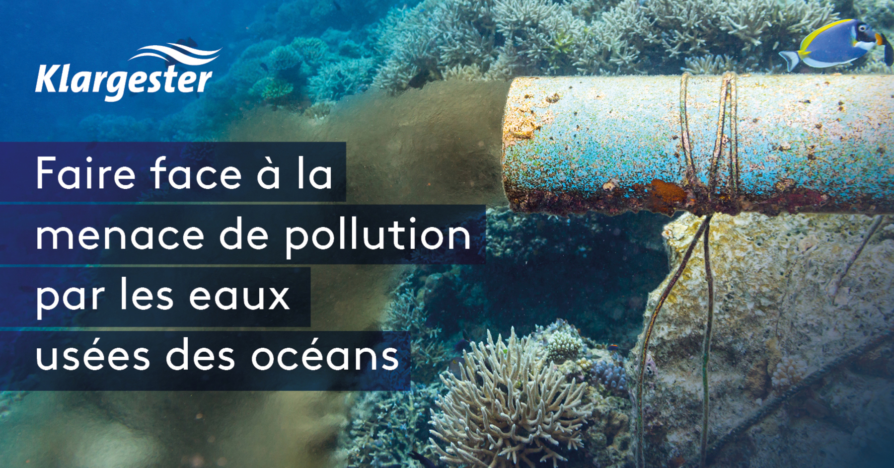 Comment Lutter Contre La Pollution Par Les Eaux Usées | Kingspan | France