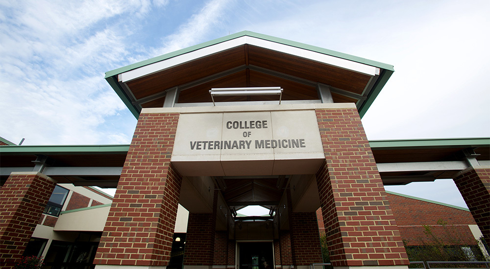 NC State University College of Veterinary Medicine 1