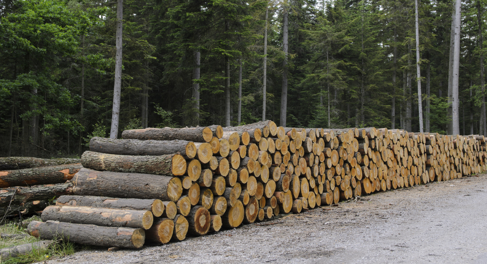 Fsc® And Pefc Timber 