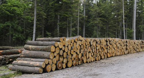 FSC® and PEFC timber | SIPs | Kingspan | Great Britain